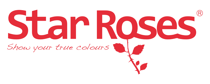 Star Roses